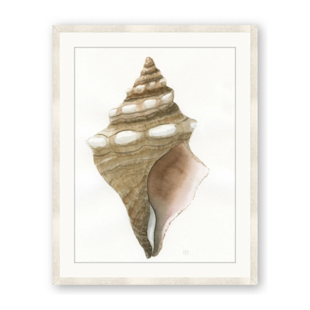 Sea Shell I