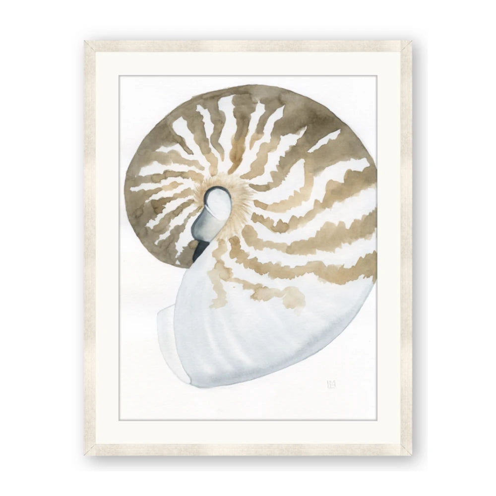 Sea Shell II