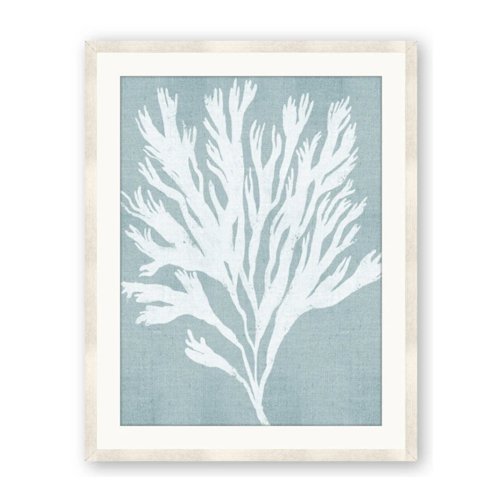 Coral Leaves II