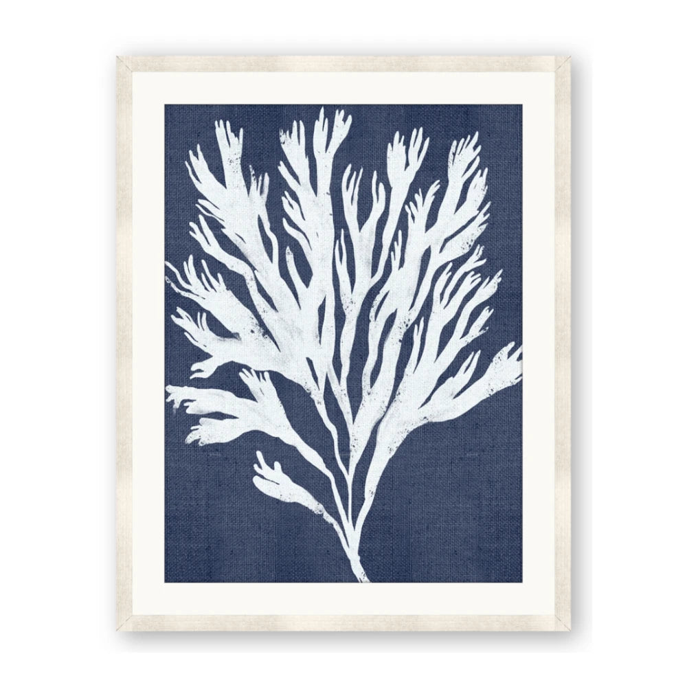 Navy Coral II