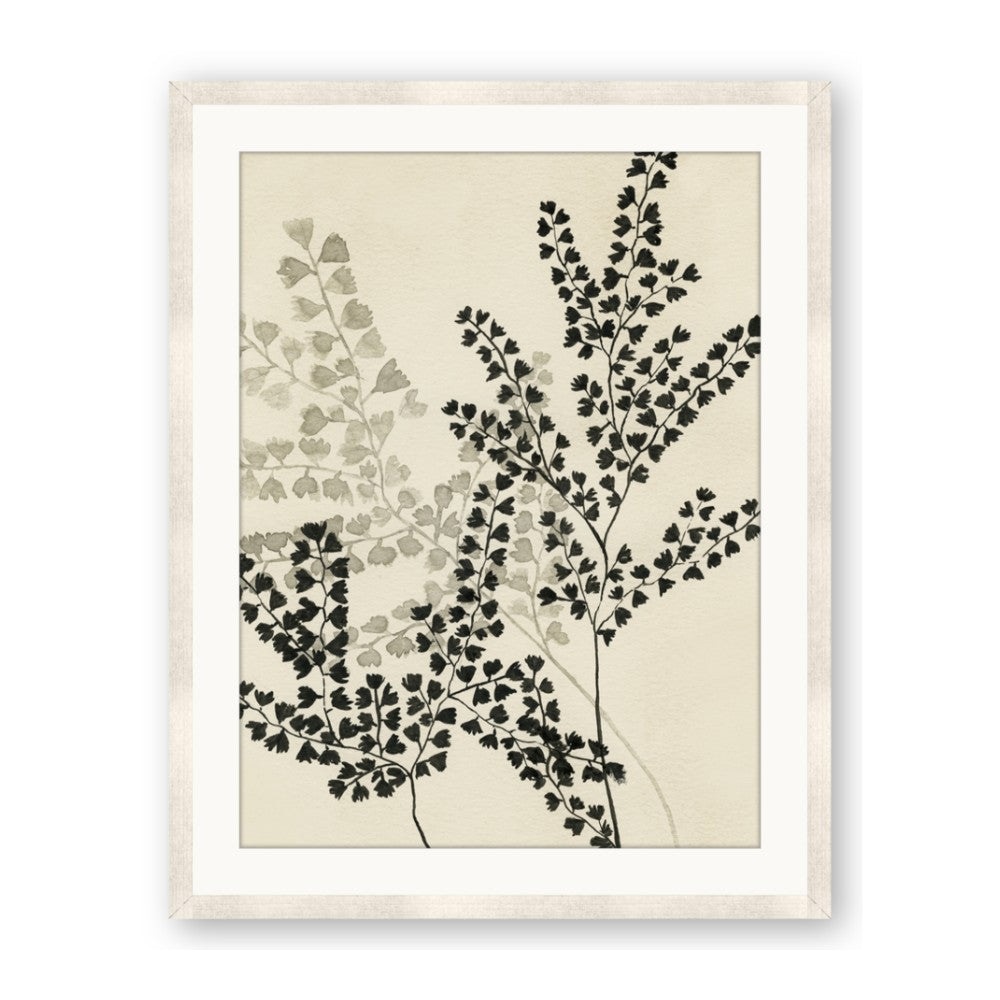 Shadow Botanical I