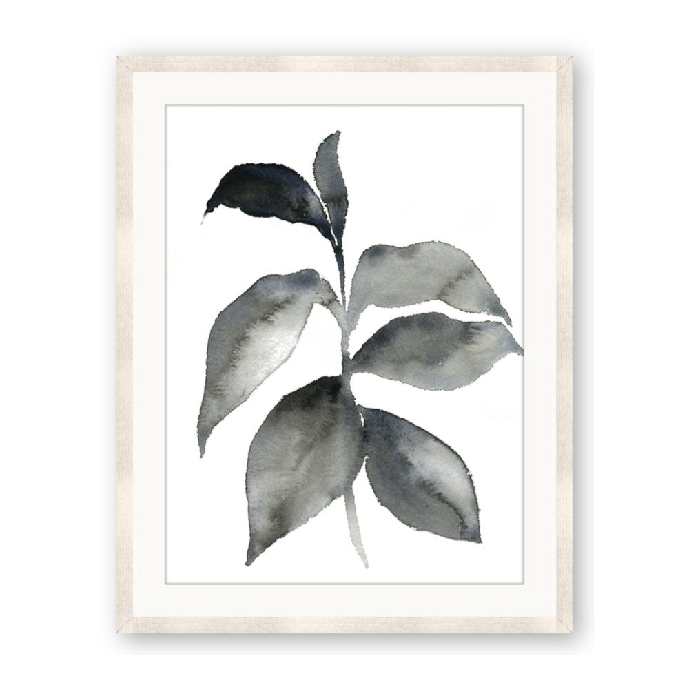 Black Watercolour Botanical II
