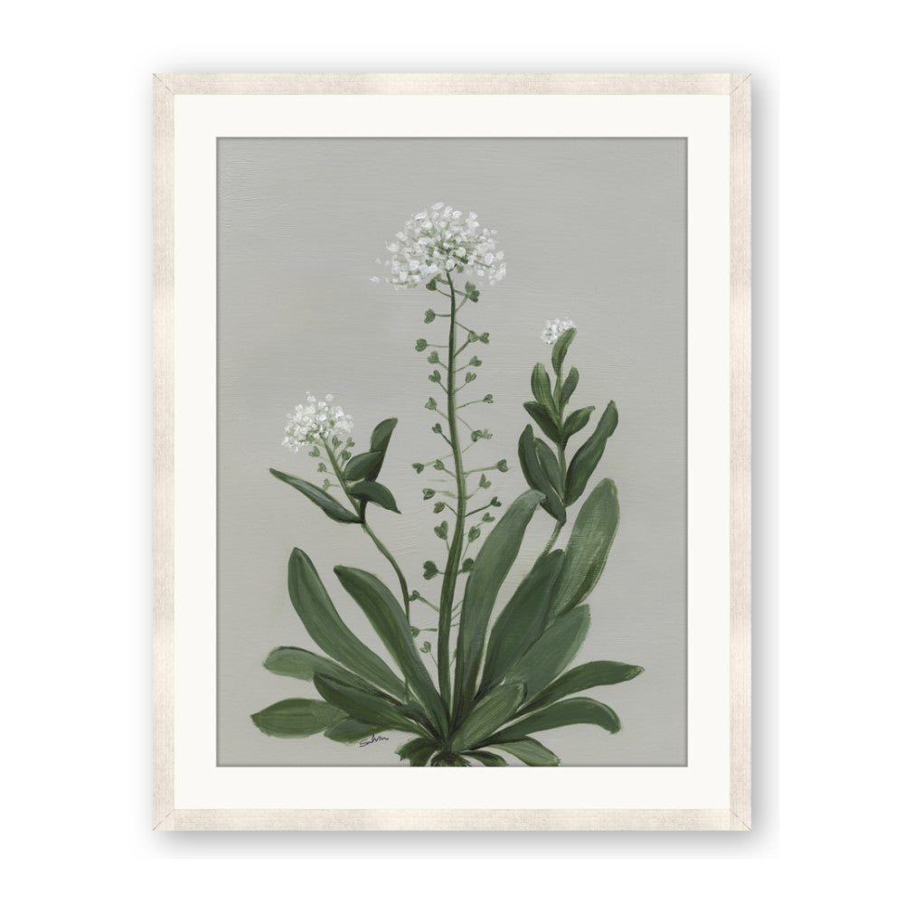 White flower II
