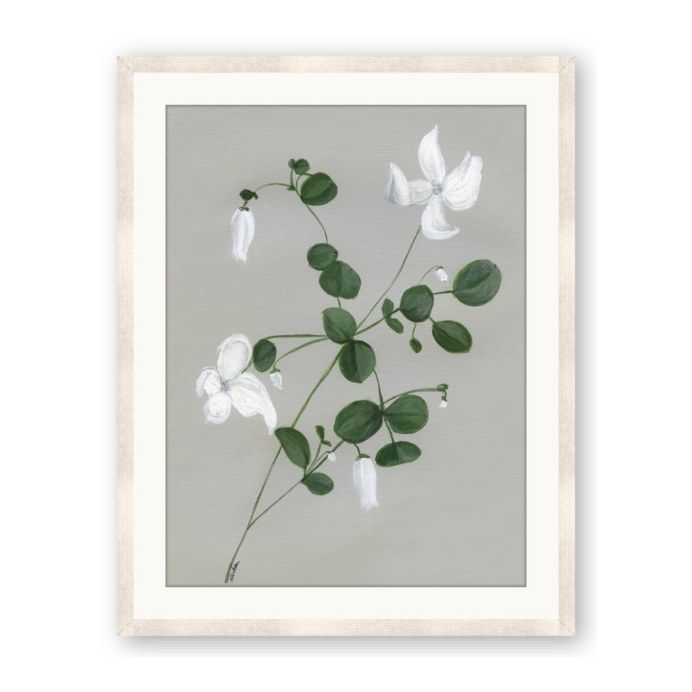 White flower IV