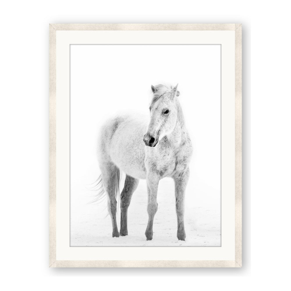 Solo White Horse