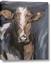 Picture of Friendly Cow