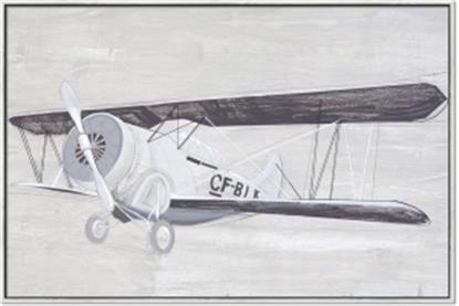 Picture of World War l Aircraft