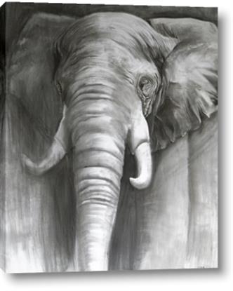Picture of Black Elephant