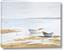 Picture of Boats In Shallow Water