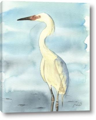 Picture of White Pelican