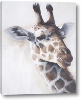 Picture of Giraffe