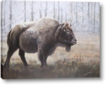 Picture of Brown Buffalo