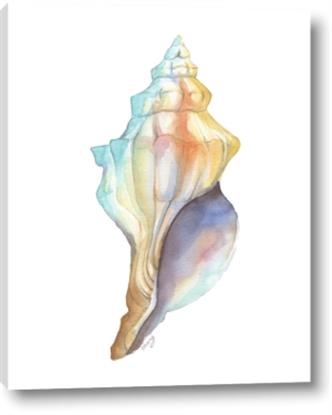 Picture of Seashell II