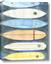 Picture of Type Of Surf Boards