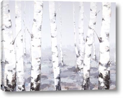 Picture of Grey Birches