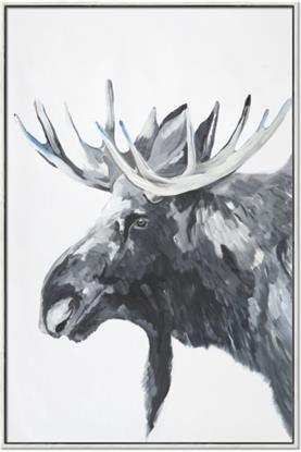 Picture of Moose Portrait