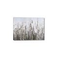 Picture of Autumn Wild Flowers _GroupedProduct_Rectangle_Landscape_Canvas_