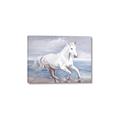 Picture of Wild Horse _GroupedProduct_Rectangle_Landscape_Canvas_