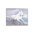 Picture of Wild Horse _GroupedProduct_Rectangle_Landscape_Canvas_