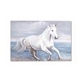 Picture of Wild Horse _GroupedProduct_Rectangle_Landscape_Canvas_