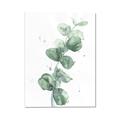Picture of Green Eucalyptus I _GroupedProduct_Rectangle_Portrait_Canvas_