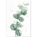 Picture of Green Eucalyptus I _GroupedProduct_Rectangle_Portrait_Canvas_