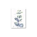 Picture of Green Eucalyptus II _GroupedProduct_Rectangle_Portrait_Canvas_