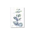 Picture of Green Eucalyptus II _GroupedProduct_Rectangle_Portrait_Canvas_