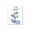 Picture of Green Eucalyptus II _GroupedProduct_Rectangle_Portrait_Canvas_