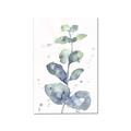 Picture of Green Eucalyptus II _GroupedProduct_Rectangle_Portrait_Canvas_