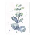 Picture of Green Eucalyptus II _GroupedProduct_Rectangle_Portrait_Canvas_
