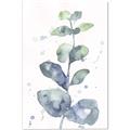Picture of Green Eucalyptus II _GroupedProduct_Rectangle_Portrait_Canvas_