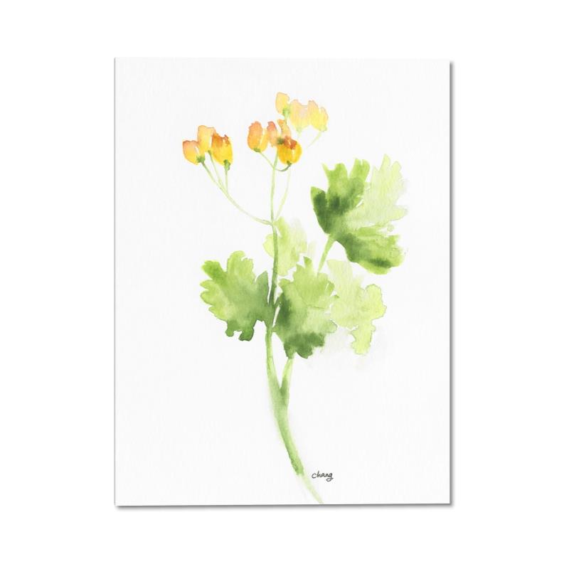 Picture of Happier Day _GroupedProduct_Rectangle_Portrait_Canvas_