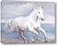 Picture of Wild Horse
