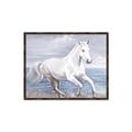 Picture of Wild Horse _GroupedProduct_Rectangle_Landscape_Canvas_Framed_