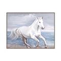 Picture of Wild Horse _GroupedProduct_Rectangle_Landscape_Canvas_Framed_