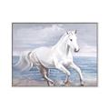 Picture of Wild Horse _GroupedProduct_Rectangle_Landscape_Canvas_Framed_