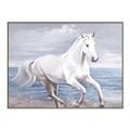 Picture of Wild Horse _GroupedProduct_Rectangle_Landscape_Canvas_Framed_