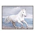 Picture of Wild Horse _GroupedProduct_Rectangle_Landscape_Canvas_Framed_