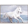 Picture of Wild Horse _GroupedProduct_Rectangle_Landscape_Canvas_Framed_