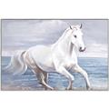 Picture of Wild Horse _GroupedProduct_Rectangle_Landscape_Canvas_Framed_