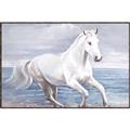 Picture of Wild Horse _GroupedProduct_Rectangle_Landscape_Canvas_Framed_