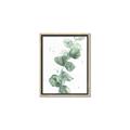 Picture of Green Eucalyptus I _GroupedProduct_Rectangle_Portrait_Canvas_Framed_