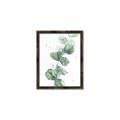 Picture of Green Eucalyptus I _GroupedProduct_Rectangle_Portrait_Canvas_Framed_