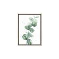 Picture of Green Eucalyptus I _GroupedProduct_Rectangle_Portrait_Canvas_Framed_