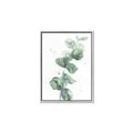 Picture of Green Eucalyptus I _GroupedProduct_Rectangle_Portrait_Canvas_Framed_