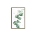 Picture of Green Eucalyptus I _GroupedProduct_Rectangle_Portrait_Canvas_Framed_