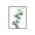 Picture of Green Eucalyptus I _GroupedProduct_Rectangle_Portrait_Canvas_Framed_