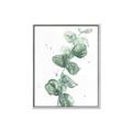 Picture of Green Eucalyptus I _GroupedProduct_Rectangle_Portrait_Canvas_Framed_