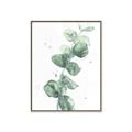 Picture of Green Eucalyptus I _GroupedProduct_Rectangle_Portrait_Canvas_Framed_